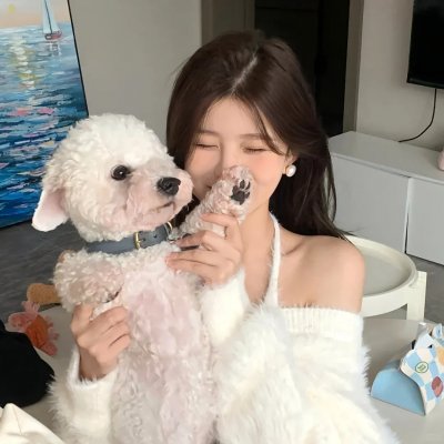 你整我，我整你